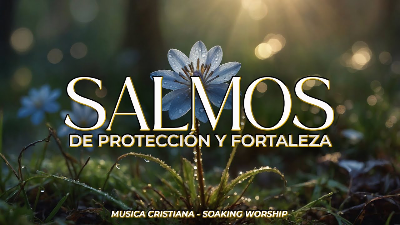SALMOS CANTADOS de PROTECCIÓN y FORTALEZA 🙌 | Dios Te Guarda y Te Da Fuerzas 🛡️