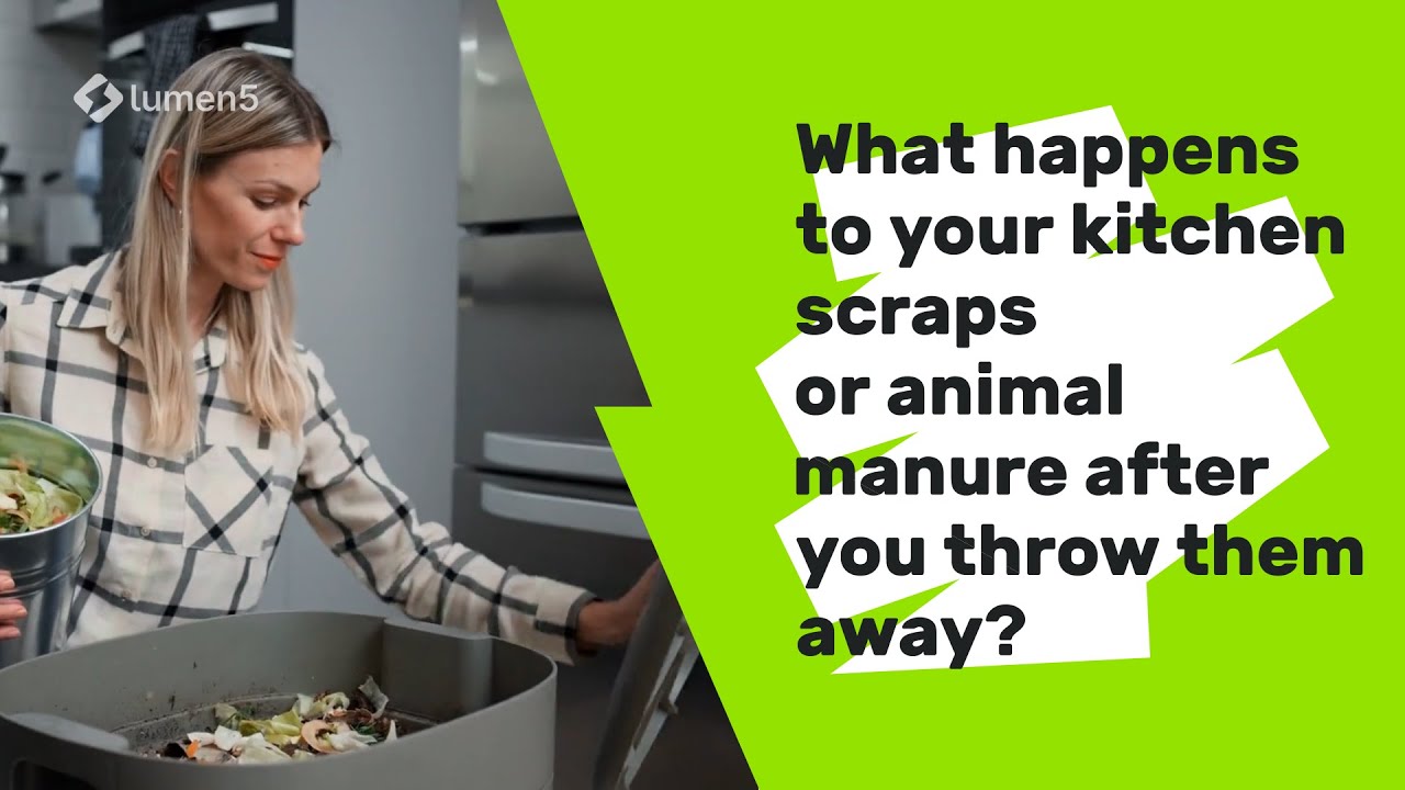 Biogas Digesters Explained: Turn Food Waste into Energy and Fertilizer!