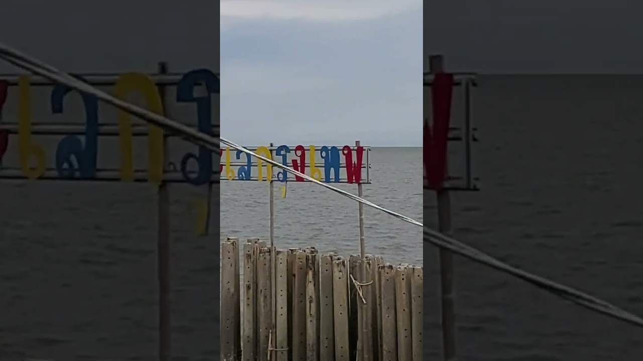 ป่าชายเลนบางขุนเทียน 