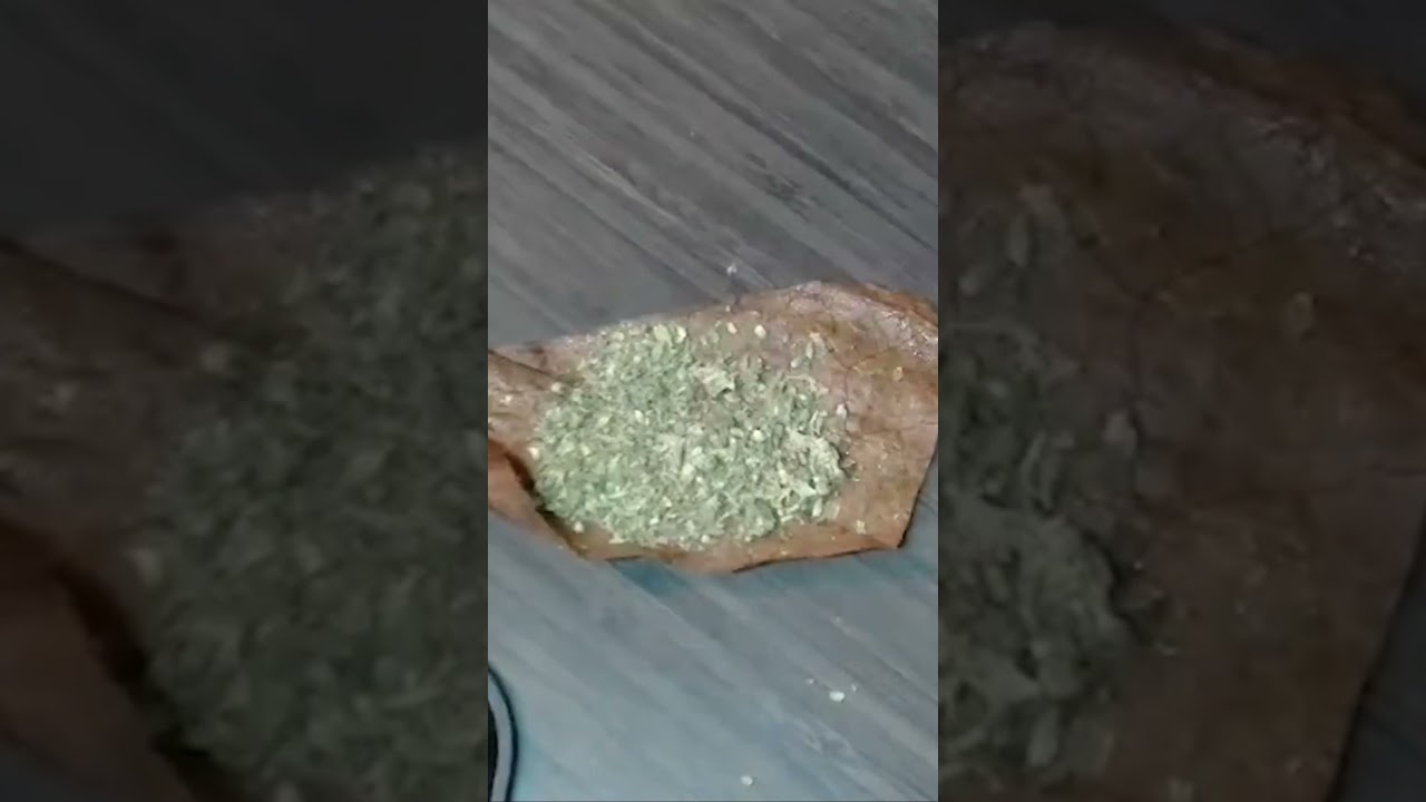 How to roll a backwood #wood #leaf #swisher #vape #backwood