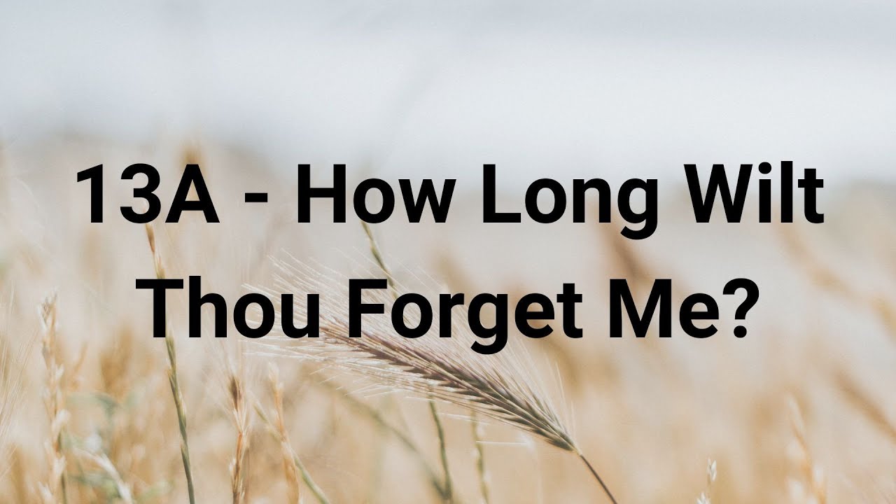 13A - How Long Wilt Thou Forget Me?