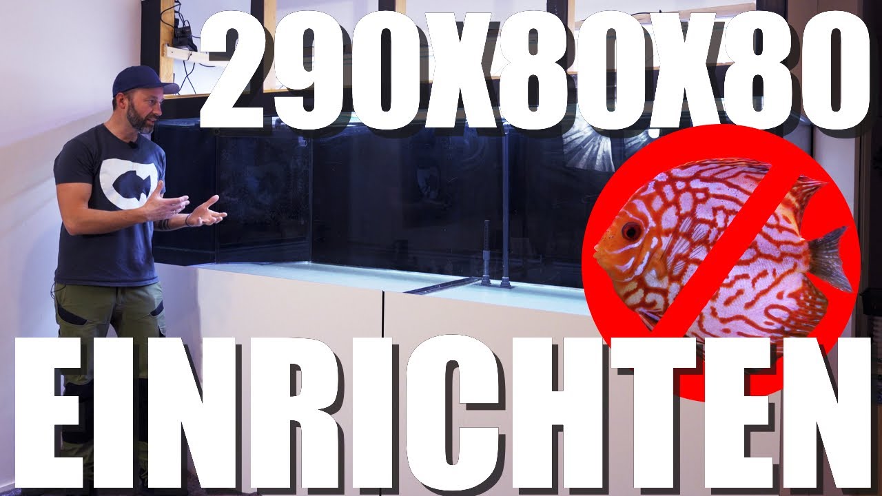 Schluß mit DISKUS! 1850L  Süßwasseraquarium wird EINGERICHTET und BEFÜLLT!