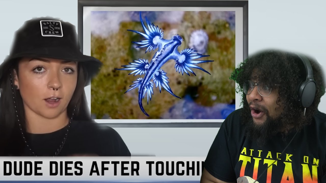 WTF IS THAT? Deadly Sea Creatures Edition ( Re-upload WITH SOUND)