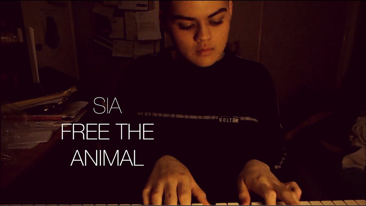 Sia - Free the Animal (Cover)