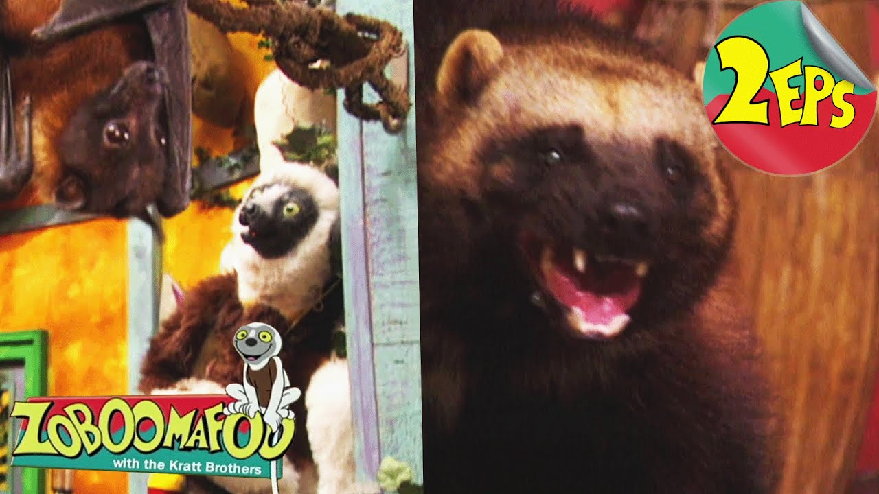 Flying Buddies + Don’t Fence Me In | Zoboomafoo - Double Feature | Full Episodes 55 + 56