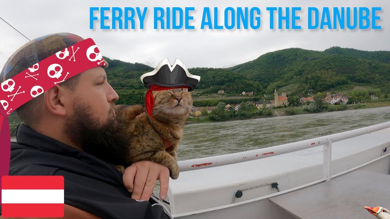 Nala cat's ferry ride along the Danube 🚢😻