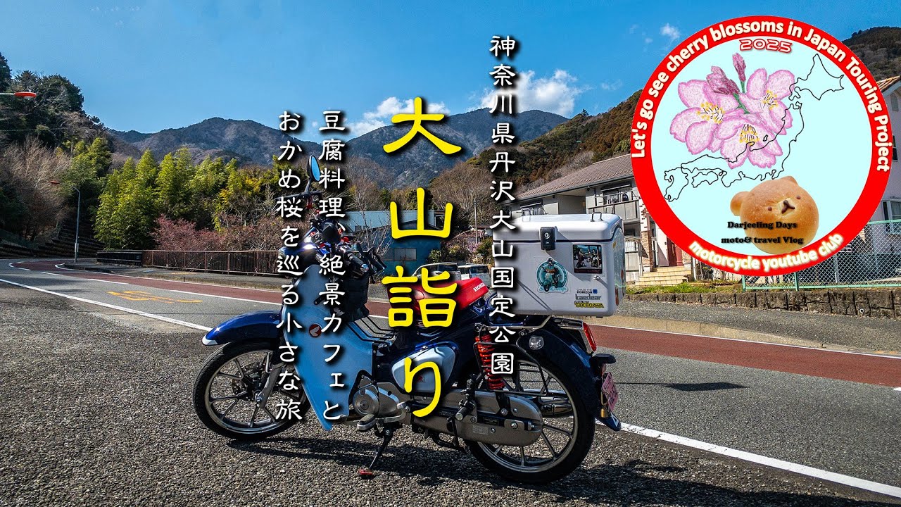 【大山詣り】　大山の豆腐料理、絶景カフェとおかめ桜を巡る小さな旅／大山詣り #丹沢 ：日本の桜を見に行こう！ツーリングプロジェクト2025｜スーパーカブC125 【モトブログ＃87】
