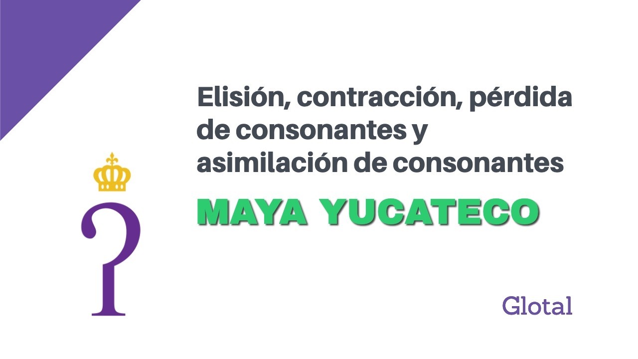Maya yucateco | Elisión, contracción, pérdida de consonantes y asimilación de consonantes