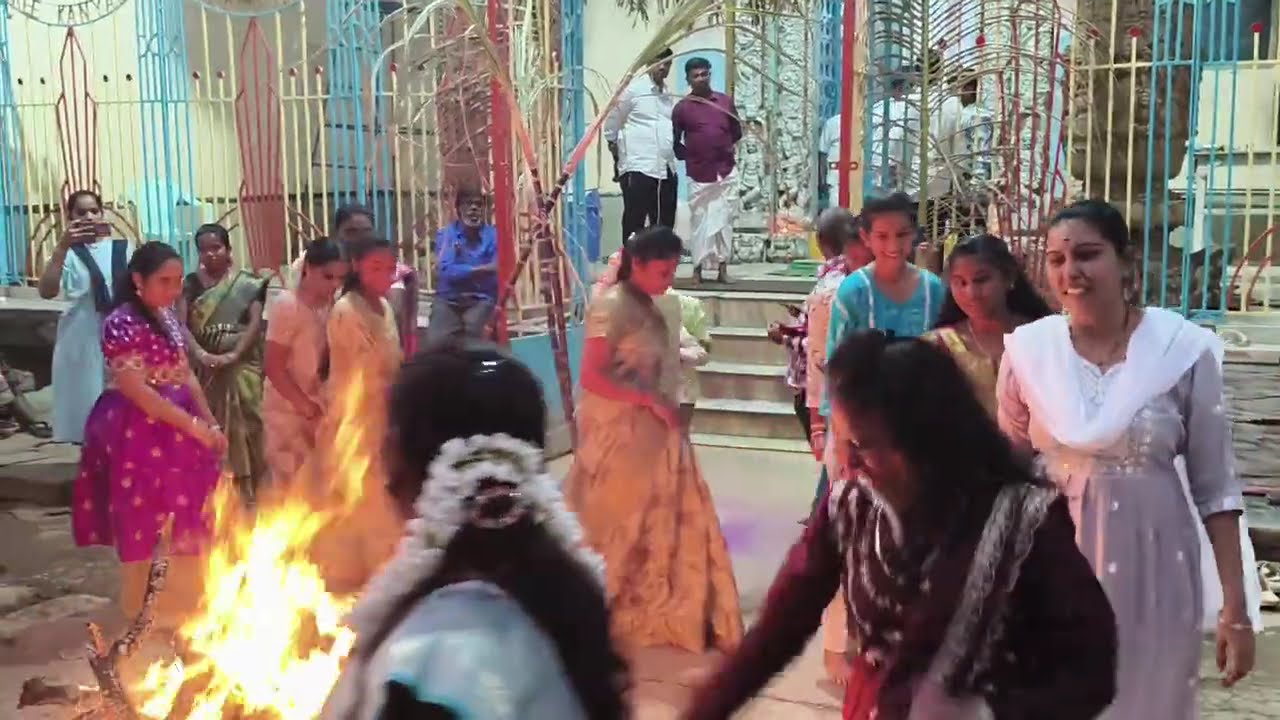 Unfiltered Sankrathi celebrations @village♥️#sankranthi#villagelife#youtube#chagalamarri#viralreels