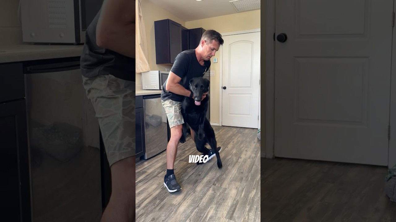 Simple method to fix pulling and leash reactivity