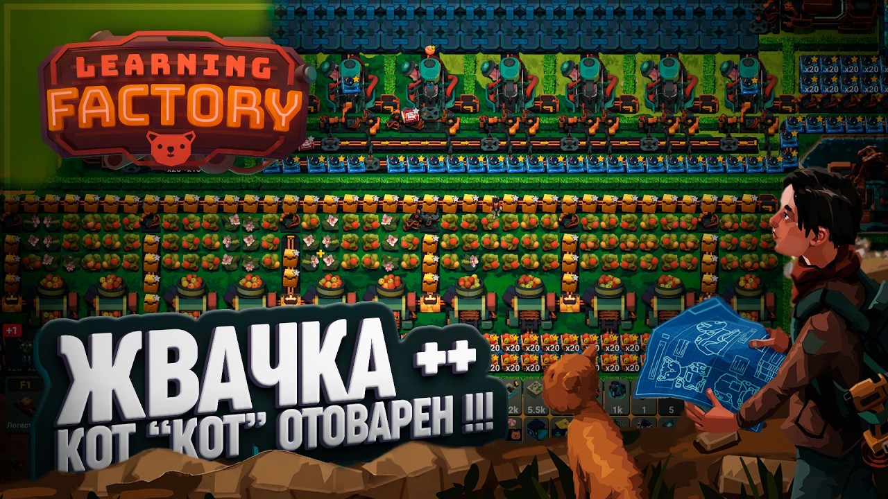 ЖВАЧКА ВЫСШЕГО КАЧЕСТВА И ПОЛНОЕ РЕШЕНИЕ ВСЕХ ПОТРЕБНОСТЕЙ 1 КОТИКА В LEARNING FACTORY \ 54