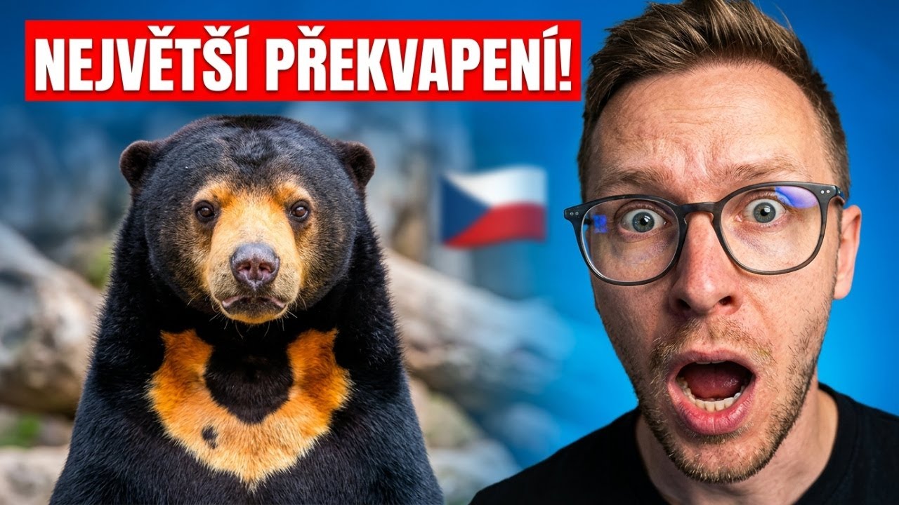 Která zoo v Česku vás nejvíce překvapí?