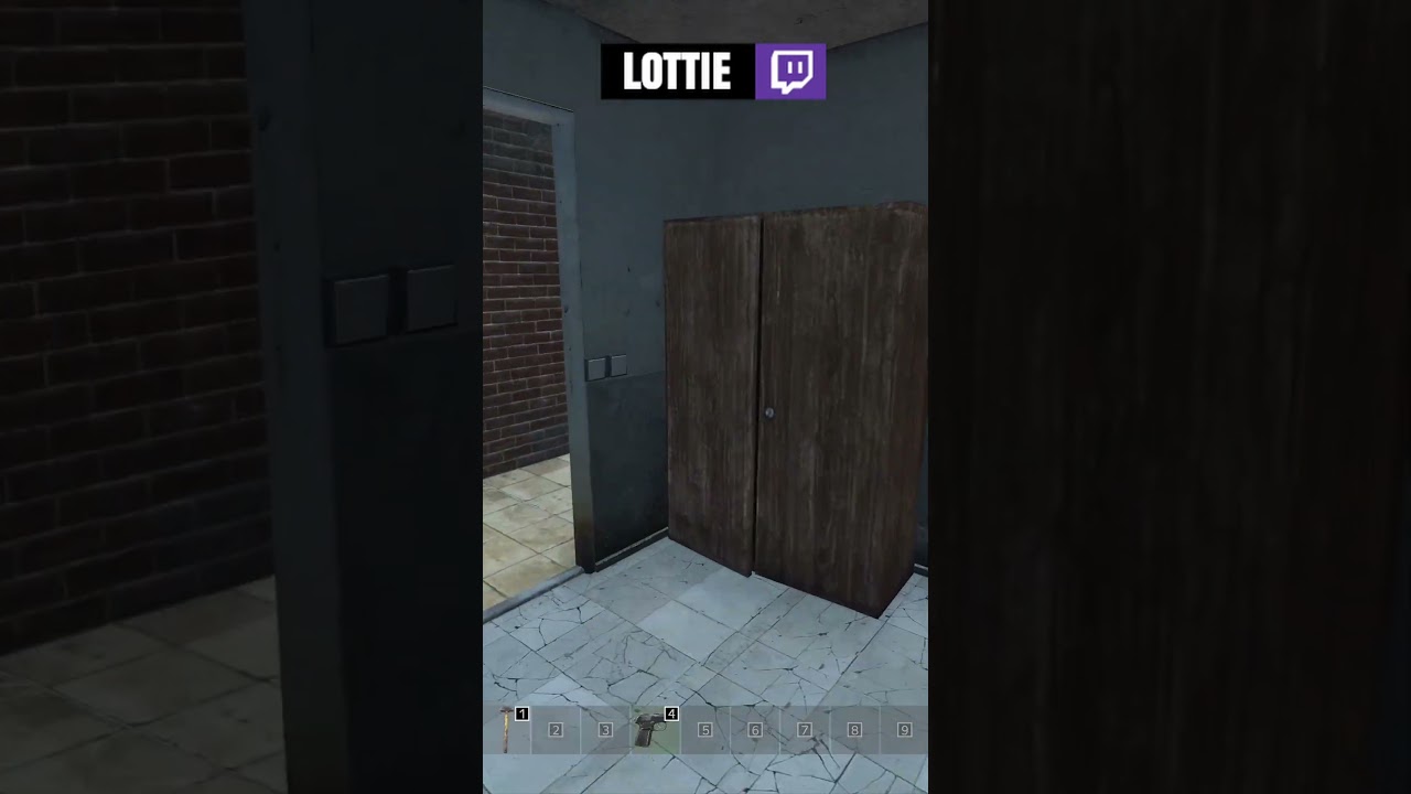 The Tripwire Trap #shorts #dayz #dayzstandalone #gaming