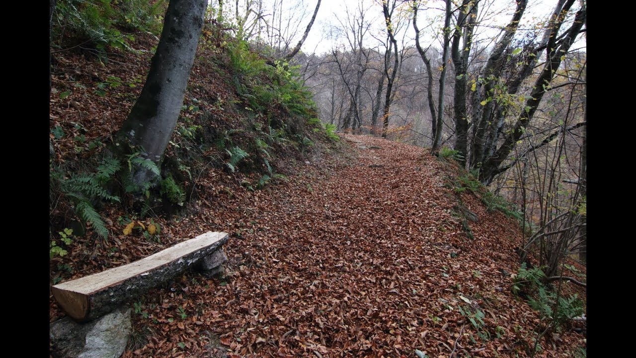 Pian delle Betulle da Margno (Lc)