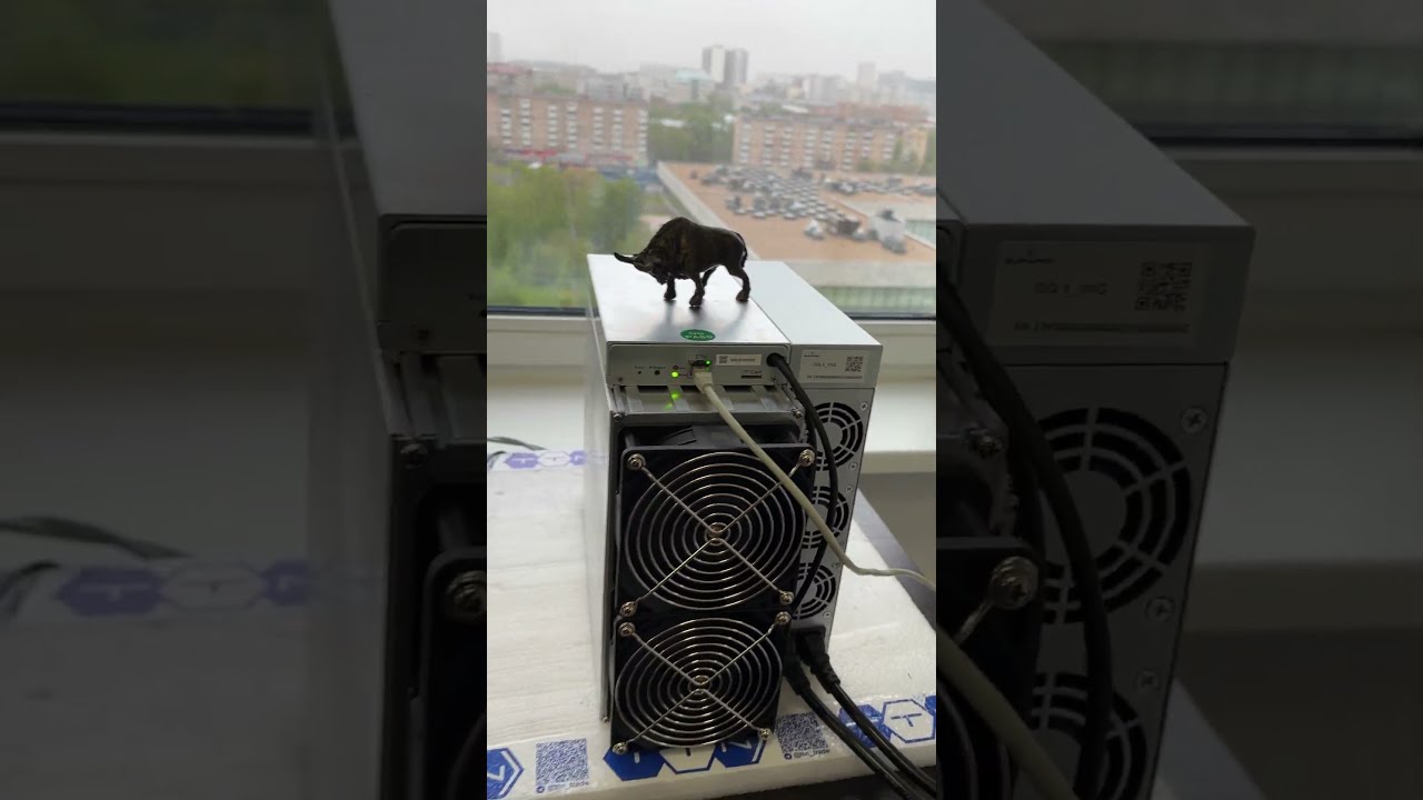 Exploring ElphaPex DG 1 11Gh: Design, Power Consumption & Interface #asic #ltc #mining #miner