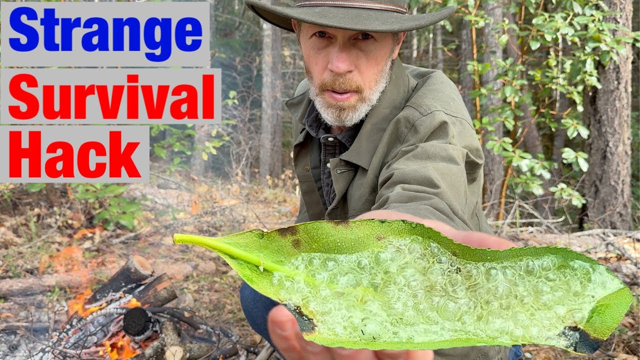 I Never Would Have Believed This if I Hadn't Tried It