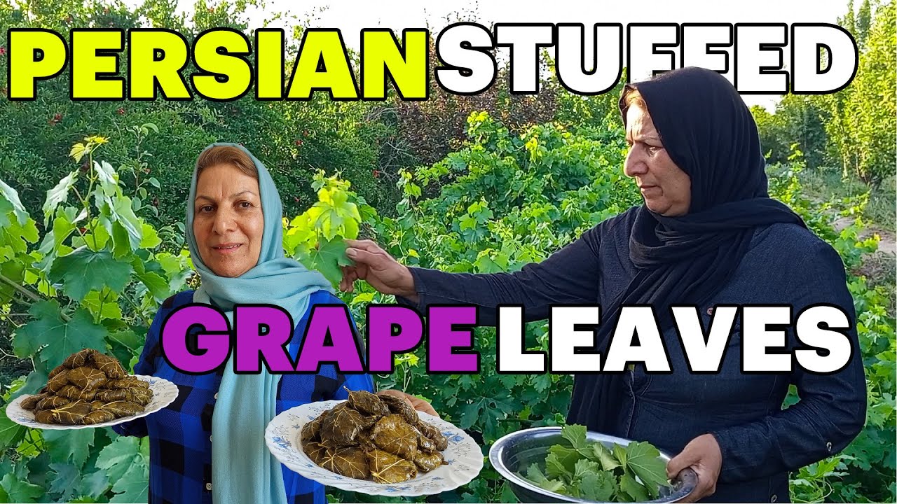 How to Make Persian Stuffed Grape Leaves | Dolmeh Barg-e Mo Recipe 🍃🇮🇷