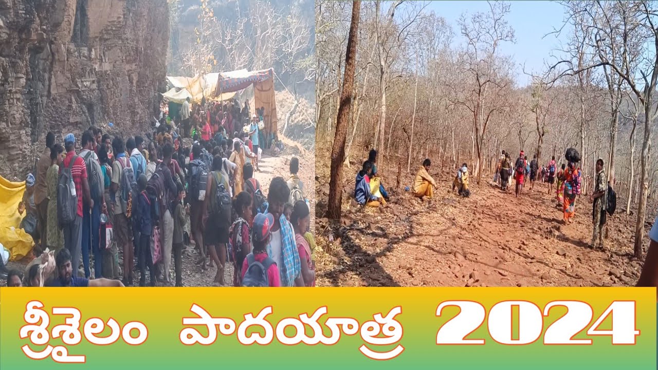 Srisailam padayatra 2024 | Venkatapuram  to Srisailam #srisailam #srisailamtemple