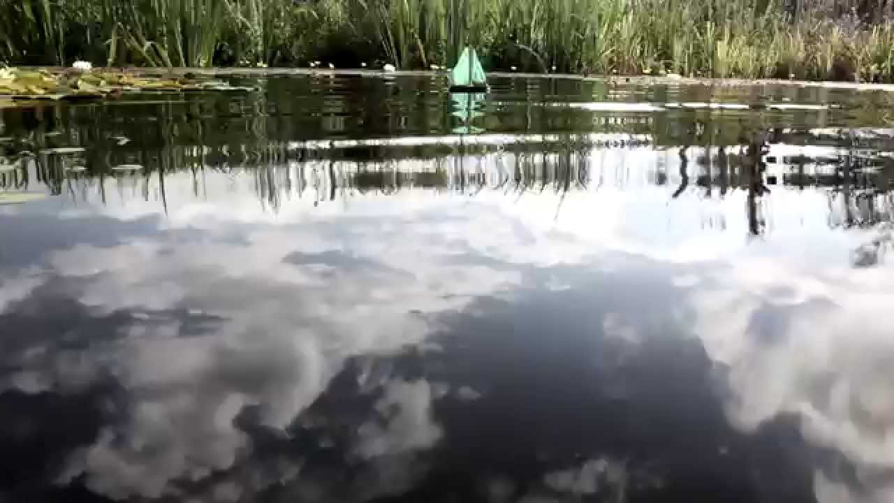 Organic pool - Love will never leave your heart.