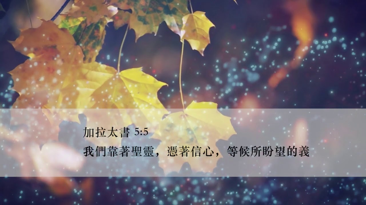 等候神音樂 Wait Upon God Soaking Music 2021 Episode 3