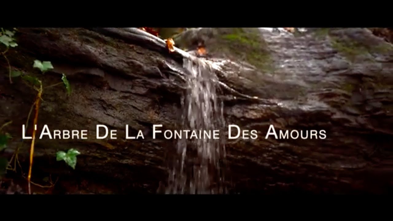 L' Arbre De La Fontaine Des Amours