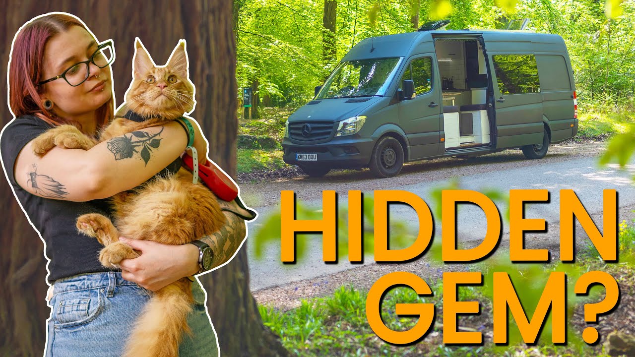 We Found The Wye Valley's Best Kept Secret! | UK Vanlife