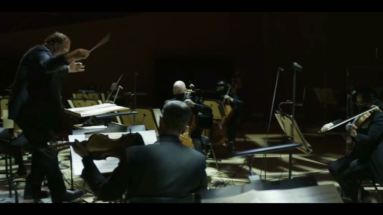 Buddy Holly - Weezer (Live at The Walt Disney Concert Hall)