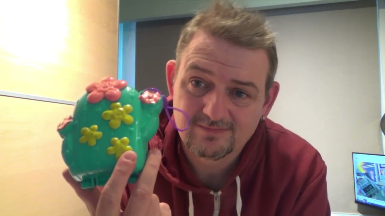 Book and toyhaul at Kringwinkel Deurne Zuid january 19th