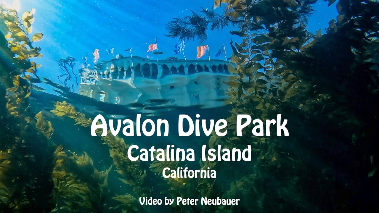 Avalon Dive Park, Catalina Island a Southern California Scuba Adventure.