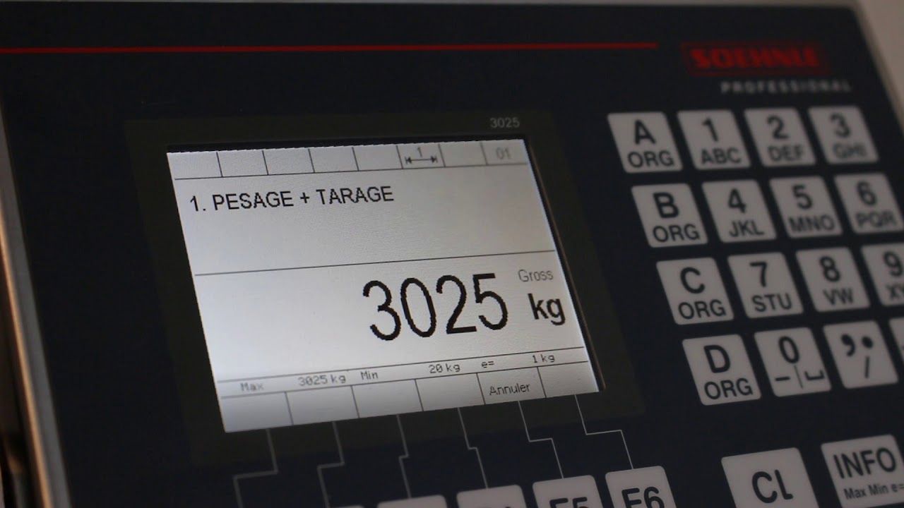 Nouveau indicateur 3025 de Soehnle Professional