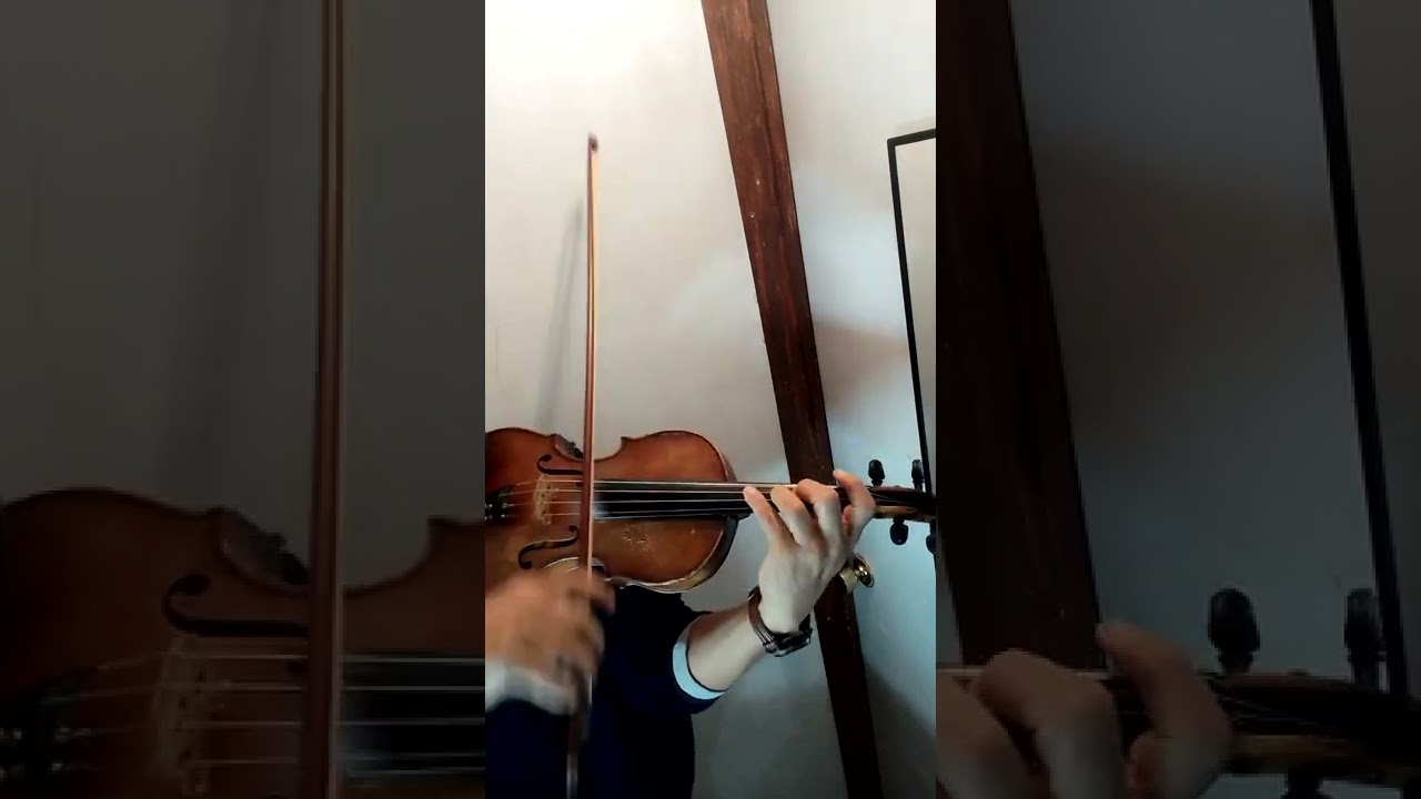 si nos dejan,  violín GARIBALDI