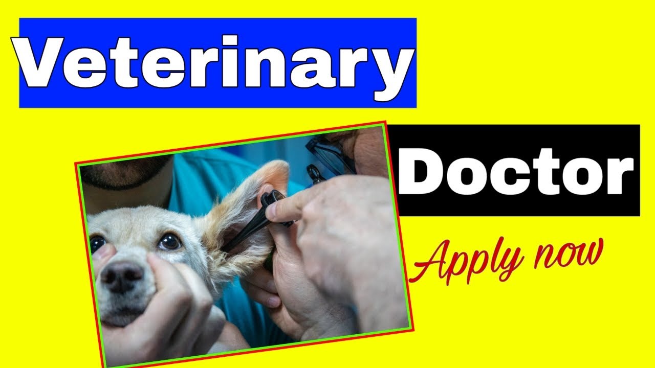 veterinary jobs in assam 2021 || IASST Recruitment 2021 || Veterinary Doctor