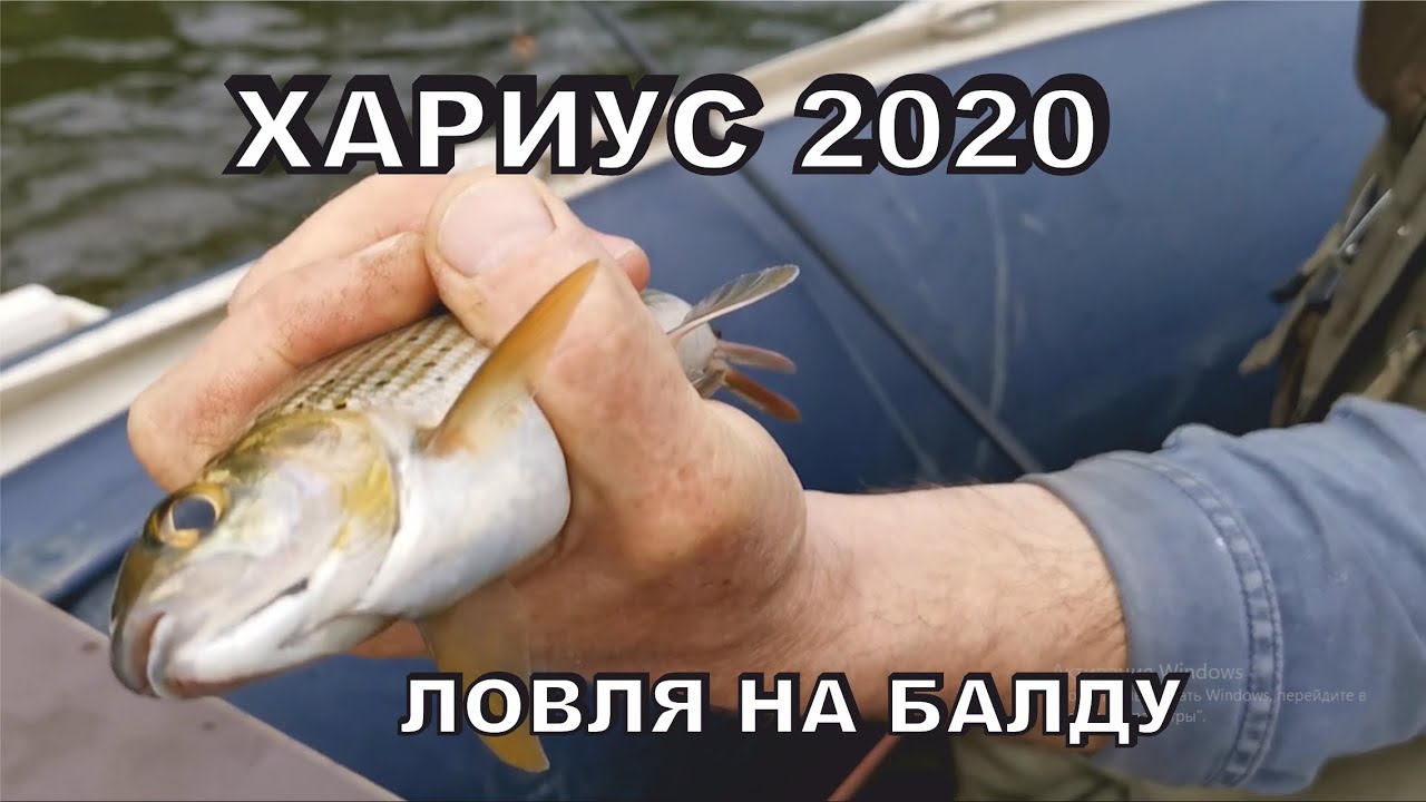 Хариус 2020 ! Рыбалка на средней Терси с Отцом.