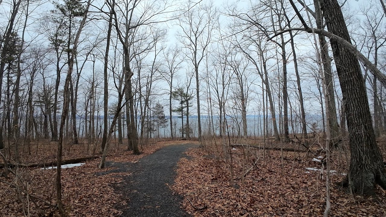 VIRTUAL FOREST HIKE TO LAKE 4K (No Voices) Treadmill Walking Scenery