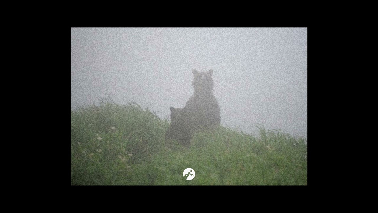 Indie guitar x Jeremy Zucker Type Beat - young