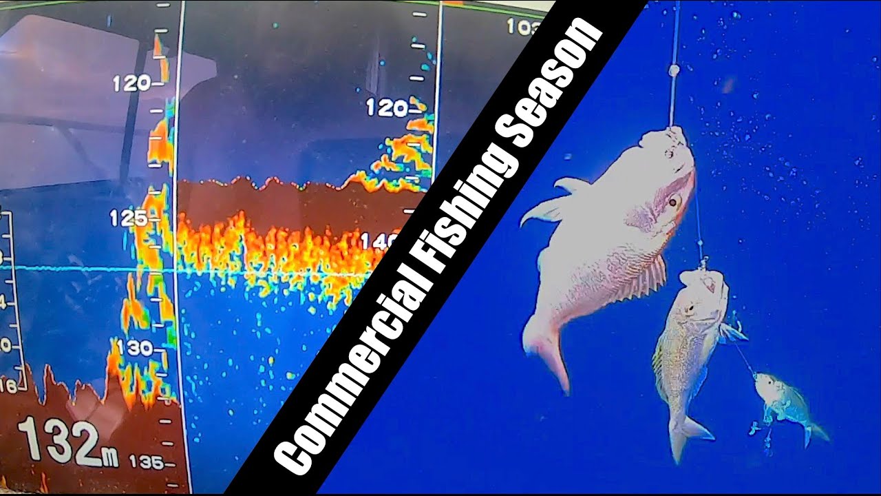 SLOW, STEADY & A HAMMERHEAD - Commercial Fishing Western Australia, Season 2 Trip 5.