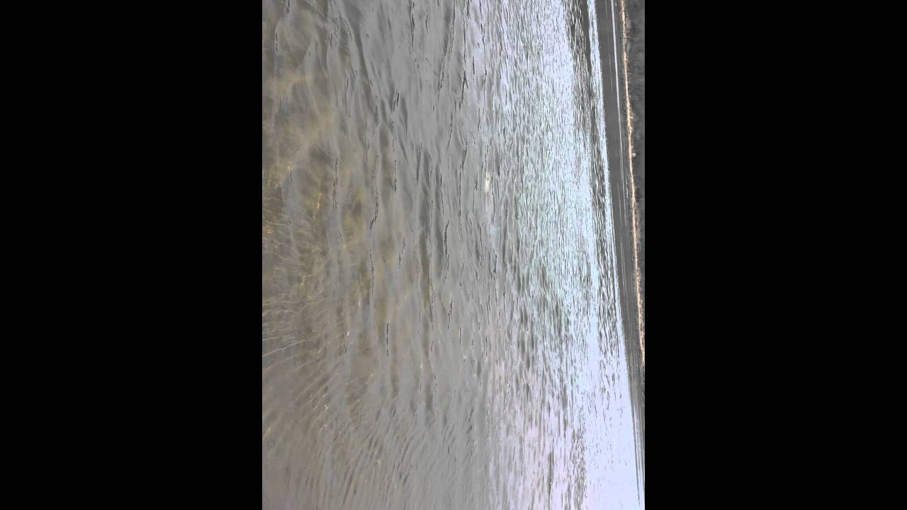 Fishing Saskatchewan giant sturgeon