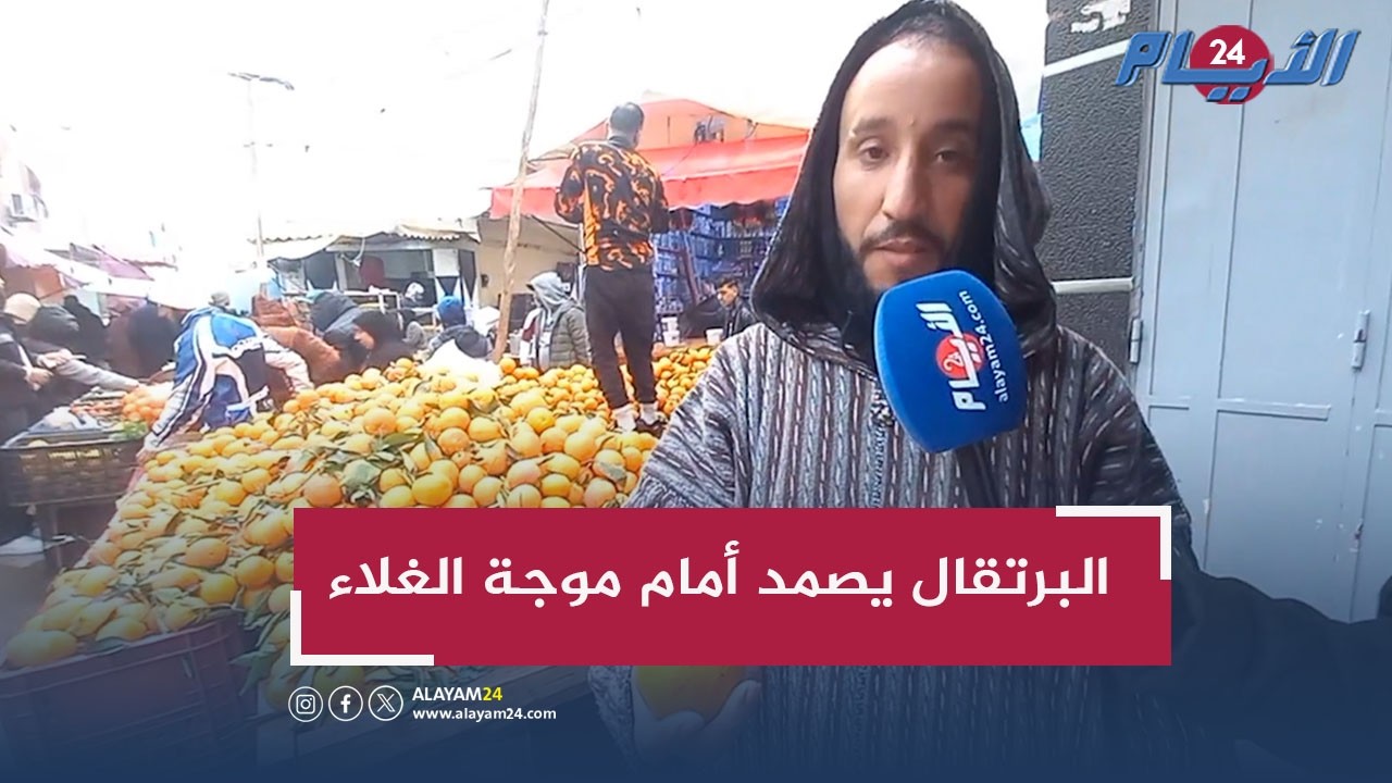 البرتقال يصمد أمام موجة الغلاء والطلب لم يتأثر..  تجار يكشفون السر