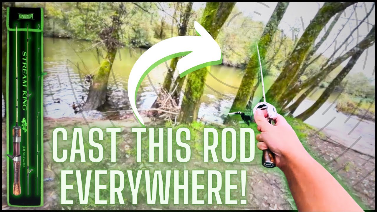 Kingdom Stream King, это действительно так? 35 долларов BFS Rod