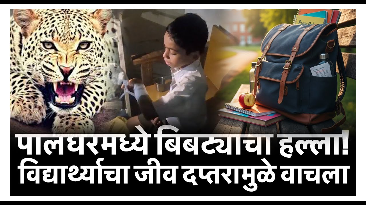 पालघरमध्ये बिबट्याचा हल्ला! विद्यार्थ्याचा जीव दप्तरामुळे वाचला