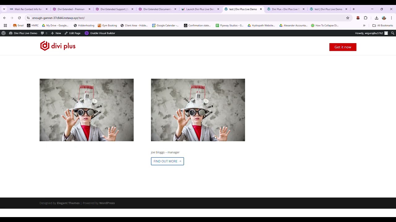 Divi Plus Live Demo