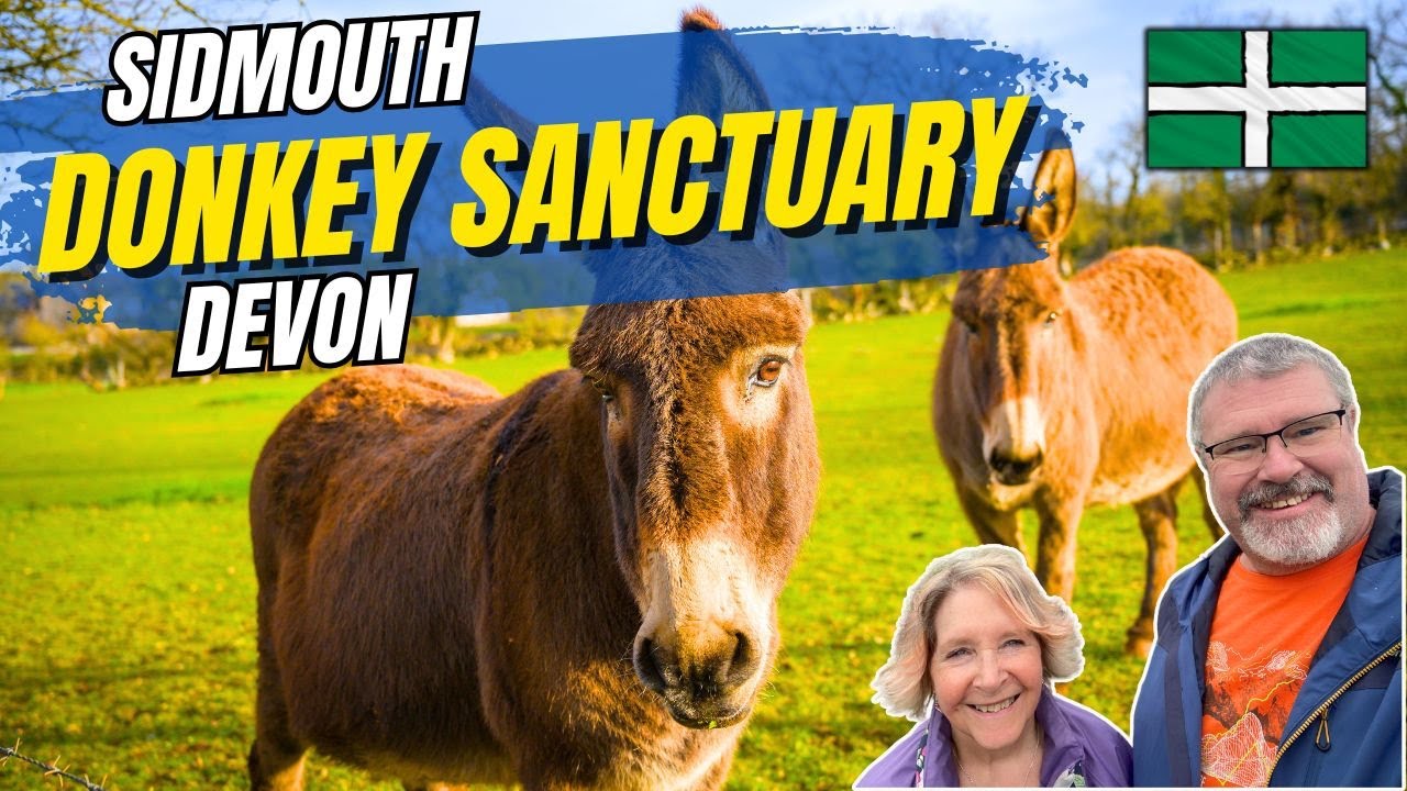 Visit The Donkey Sanctuary Devon UK #donkeysanctuary