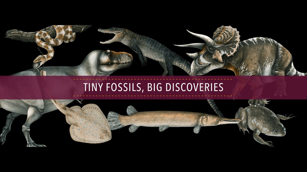 Cretaceous Creatures and the Hell Creek Formation