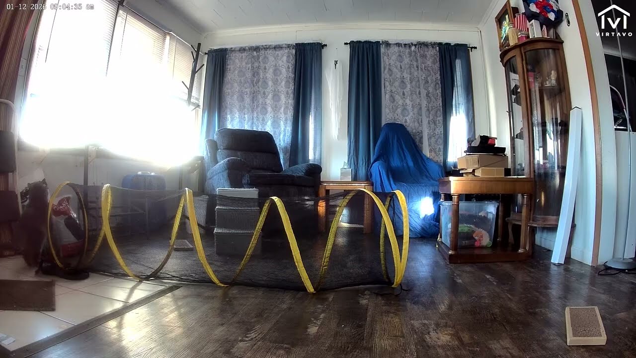 CATS