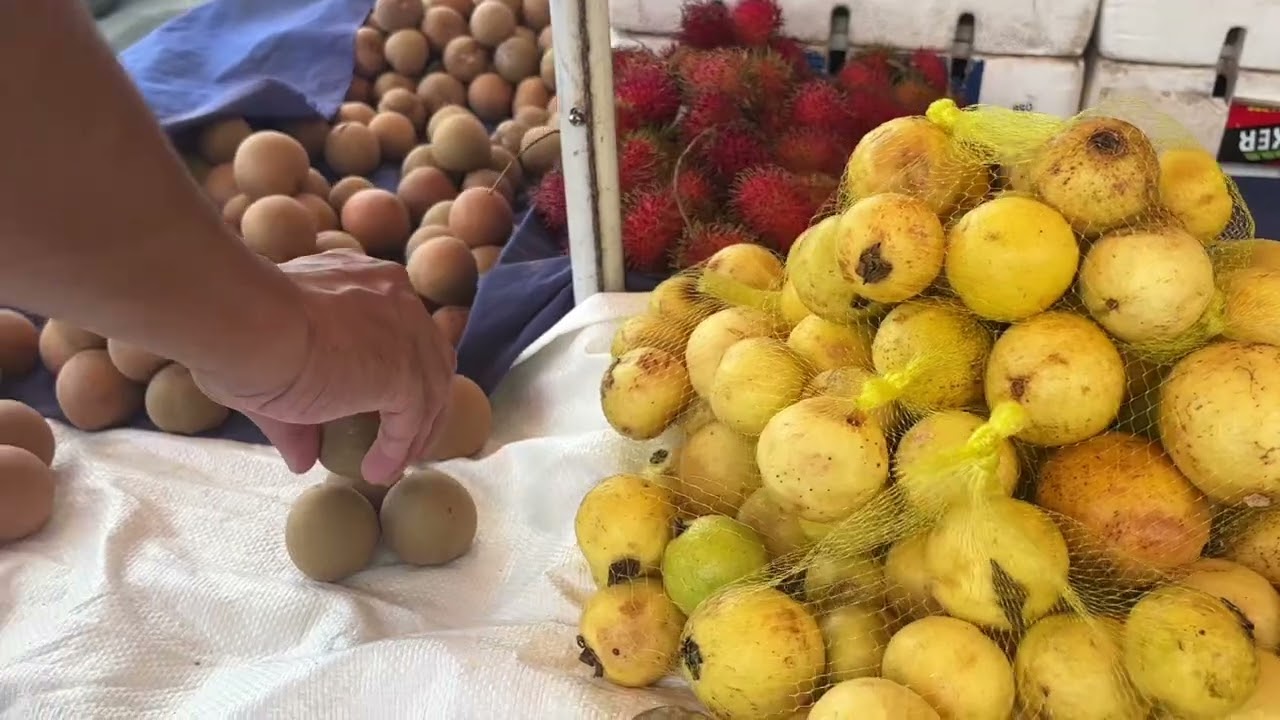 🇬🇾market || sunny and sweetie