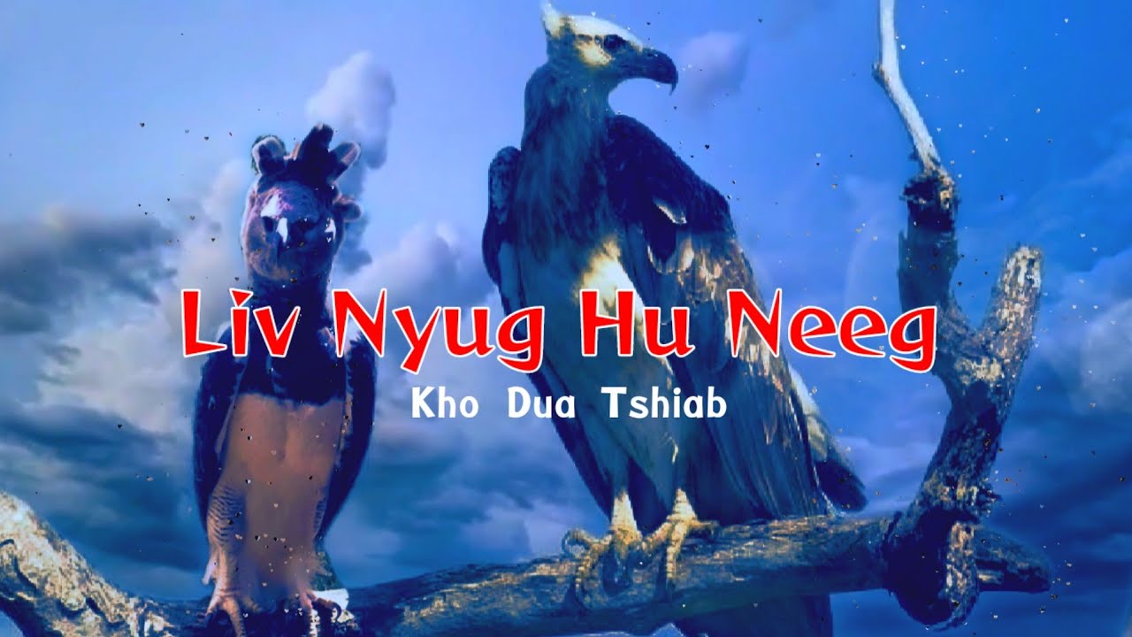Dab Neeg - Liv Nyug Los Hu Neeg Txaus Ntshai Heev 05-11-2023