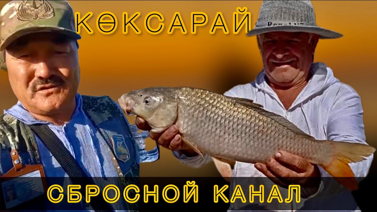 Көксарай сбросной канал | сырдария көксарай
