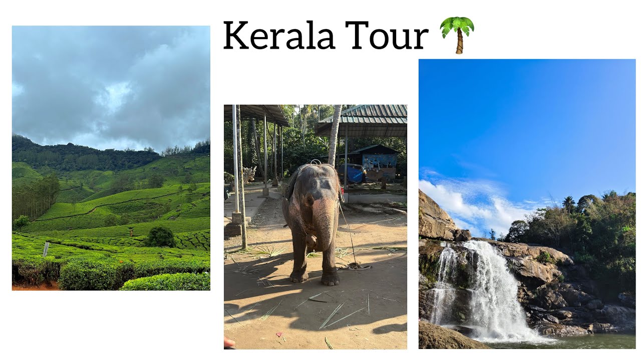 Kerala Tour 2026 | Niti Sawant
