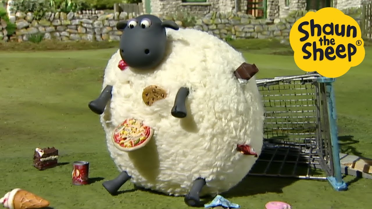 Shaun the Sheep 🐑 The Hungry Sheep - Cartoons for Kids 🐑 Full Episodes Compilation [1 hour]