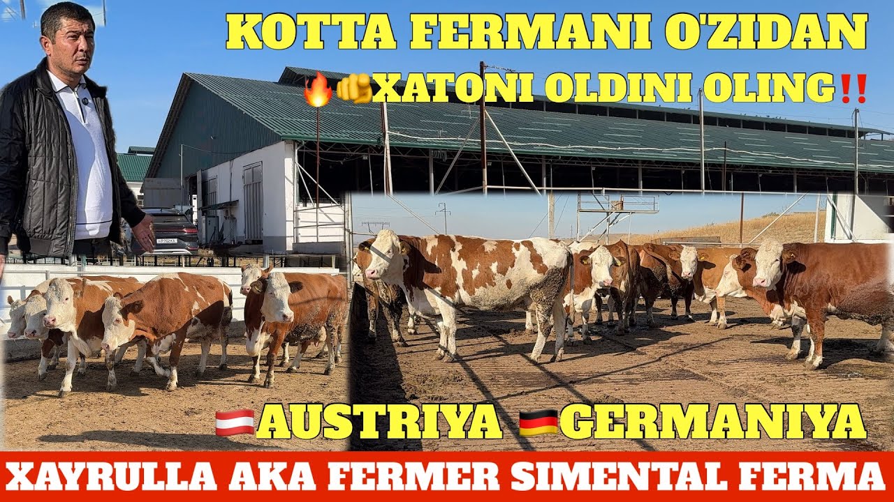 XAYRULLA AKA SIMENTAL FERMA XAMMAGA RAXMAT15.000$ FOYDASIGA SAVDOGAR QILGAN SUMMANI USTIGA BARAKA 